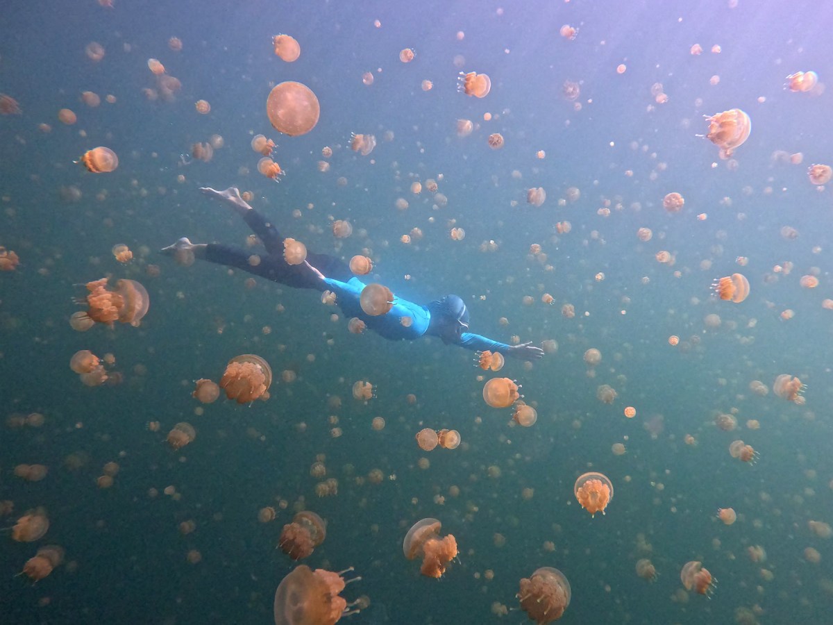 Indonesia: West Papua and the islands of Raja&nbsp;Ampat