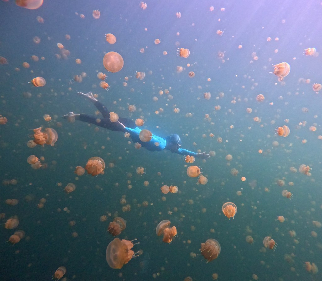 Indonesia: West Papua and the islands of Raja&nbsp;Ampat