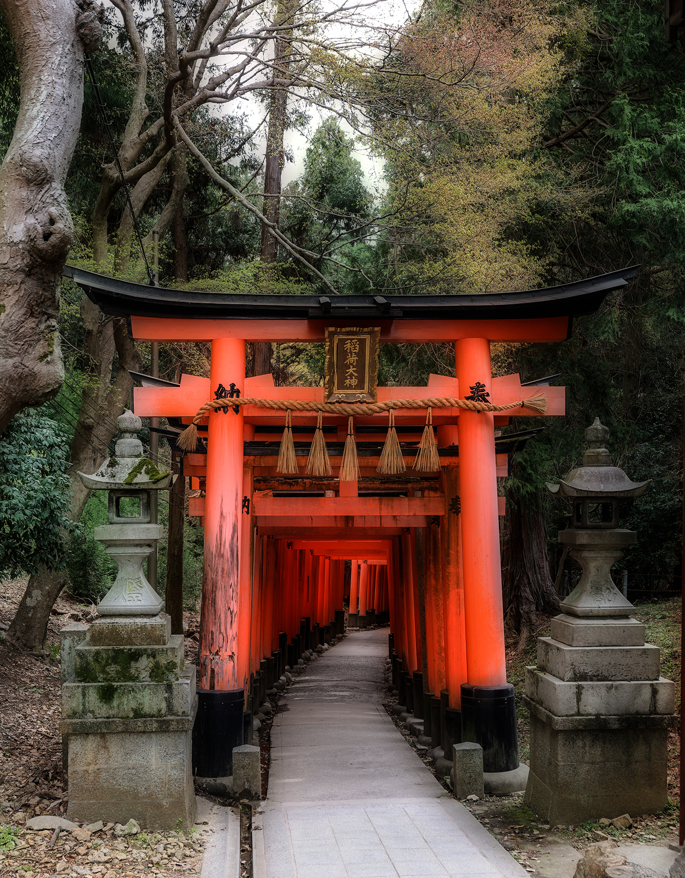その他 TELEPORTATION KUMANO NARA KYOTO Japan: Kyoto, Nakasedo, and the Kumano Kodo – Eight Boots Abroad